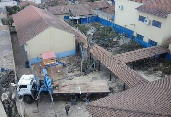 Poda de segurança em árvores da Escola José Roberto